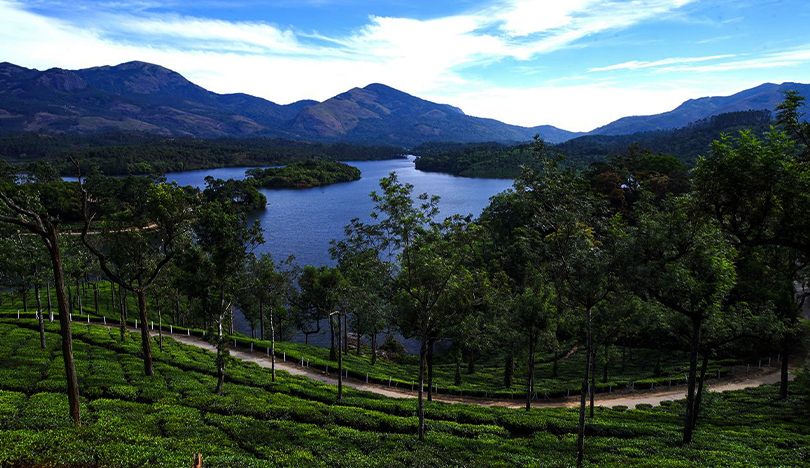 Munnar_06